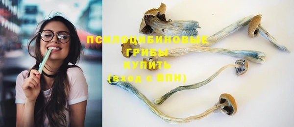 ECSTASY Зеленодольск