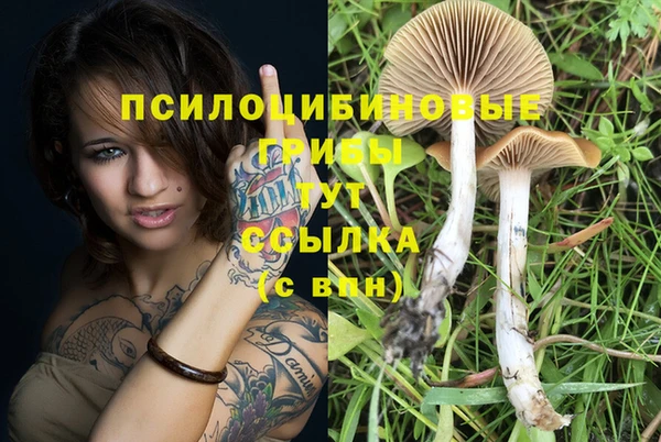 ECSTASY Зеленодольск