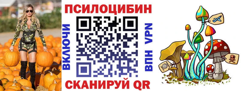 Псилоцибиновые грибы Psilocybine cubensis  Купить  Пермь 